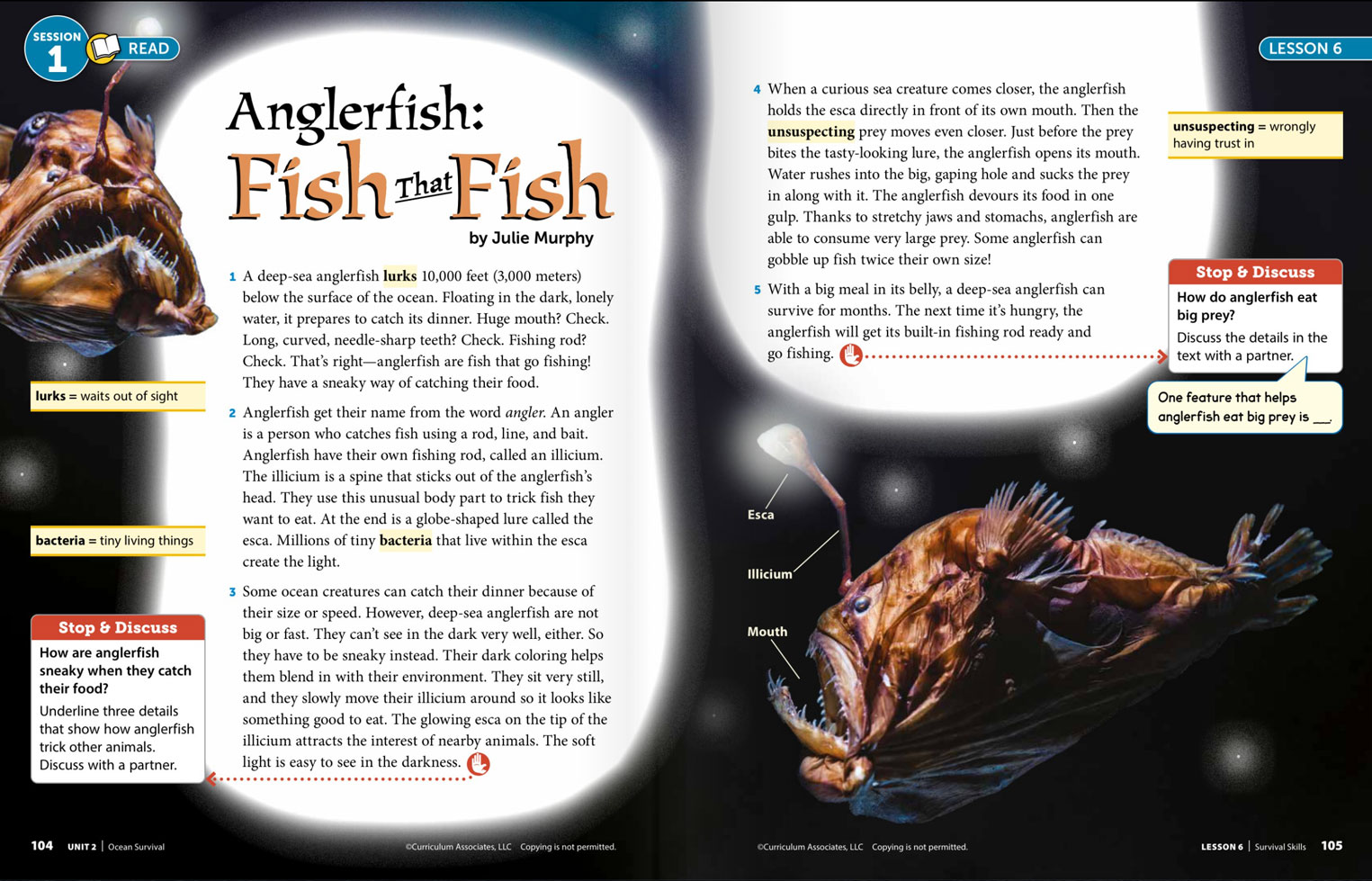 A spread for a lesson about anglerfish.