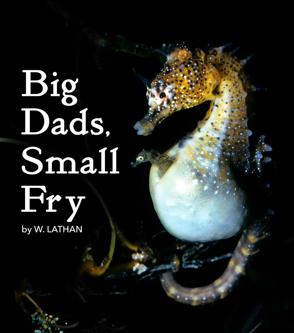 E-book cover for Big Dads, Small Fry by W. Lathan.