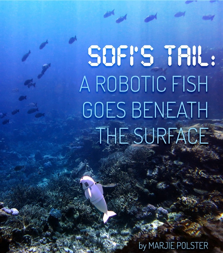 E-book cover for Sofi's Tail: A Robotic Fish Goes Beneath the Surface by Marjie Polster.