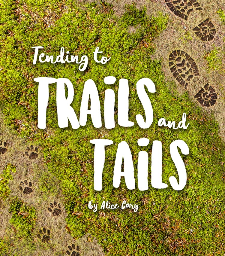 E-book cover for Tending to Tails and Trails by Alice Cary.