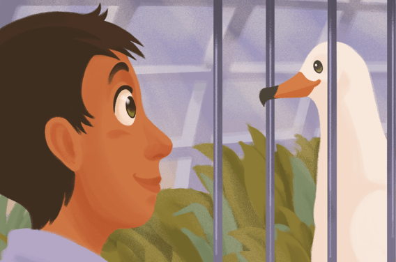 artwork for a story about brothers helping a trapped seagull