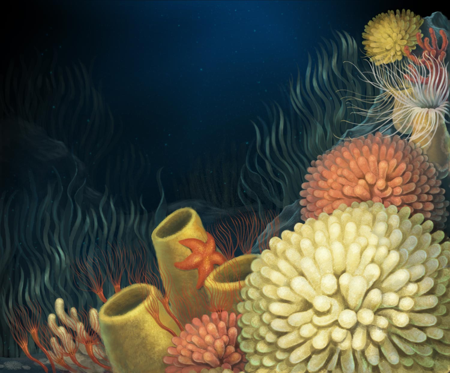 scientific illustration of benthos.