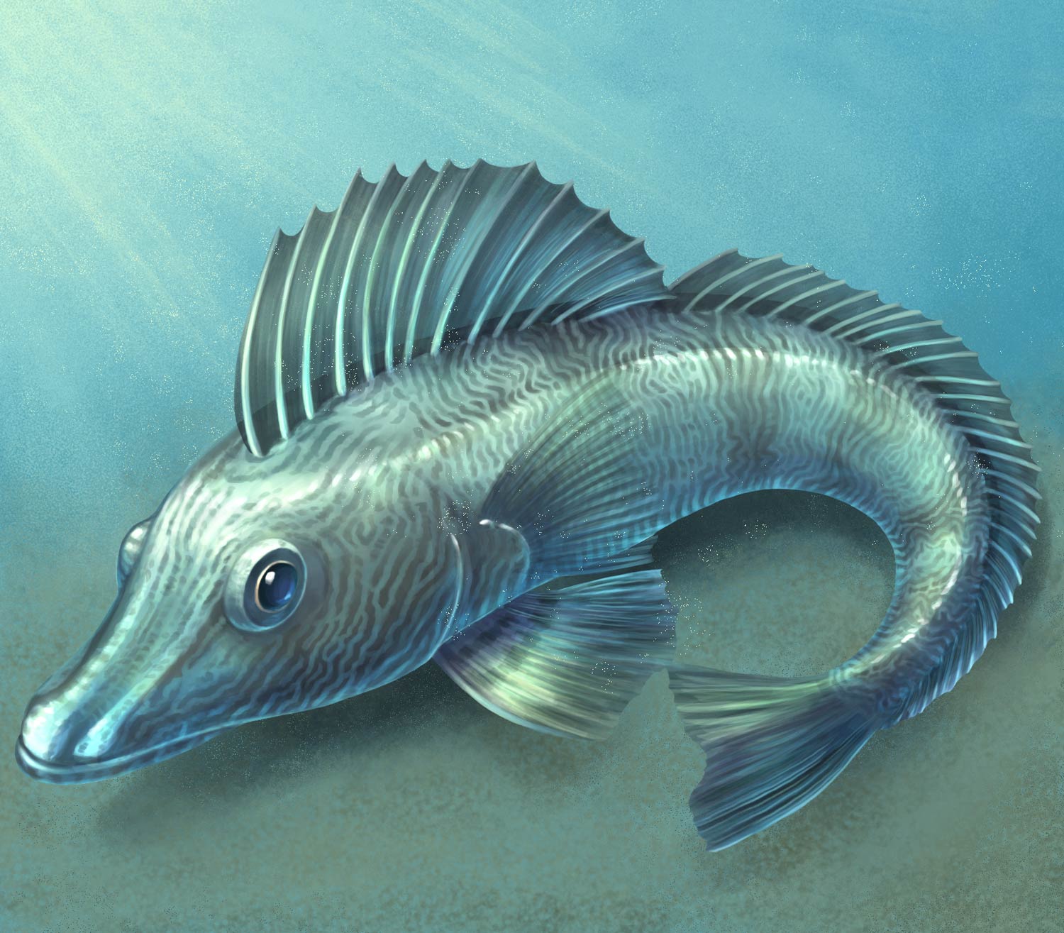 scientific illustration of an icefish.